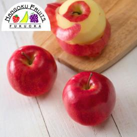 南国フルーツ・旬の赤りんご約10kg(32～40玉)