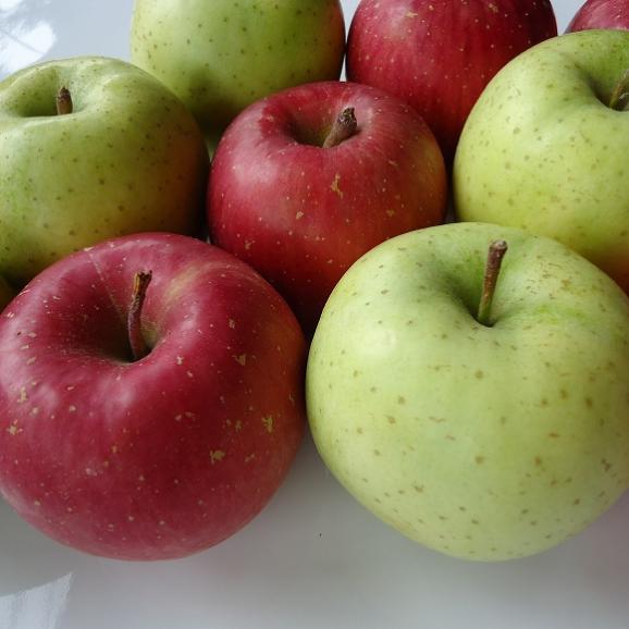 南国フルーツ・赤・青りんごの詰合せ　約1.2kg (4～5玉)05