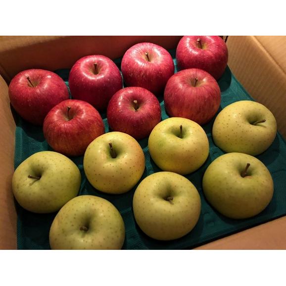 南国フルーツ・赤・青りんごの詰合せ　約1.2kg (4～5玉)06