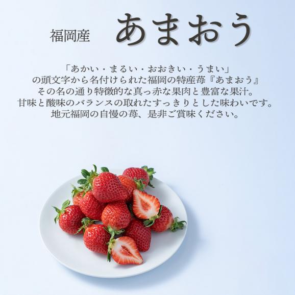 旬のフルーツセットF08（メロン・あまおう）04