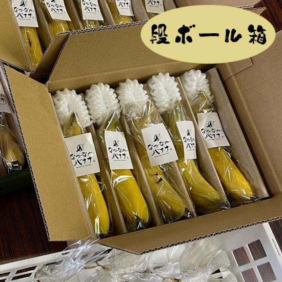 【産地直送】長崎県島原産　なかなかバナナ5本(段ボール入)02