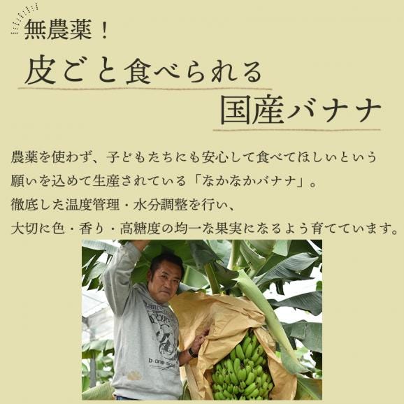 【産地直送】長崎県島原産　なかなかバナナ5本(段ボール入)03