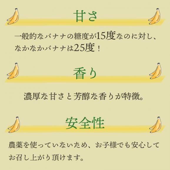 【産地直送】長崎県島原産　なかなかバナナ5本(段ボール入)05