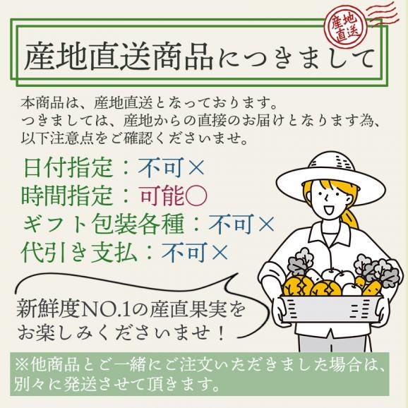 【産地直送】長崎県島原産　なかなかバナナ5本(段ボール入)06