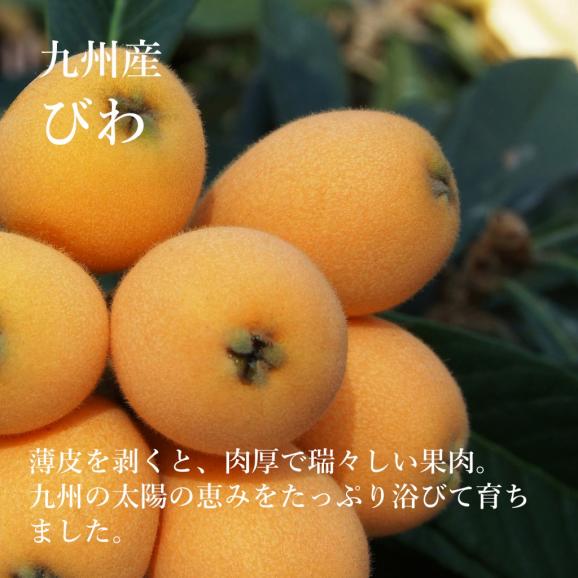旬のフルーツセット H0904