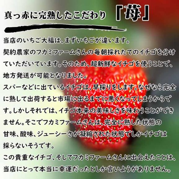 【6個箱入り】いちご大福　つぶあん・カスタードクリーム04