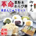 【送料無料】5種類の水まんじゅう10個 ＆ 栗粉本わらび餅セット わらび餅の革命！栗きんとんをつけて食べる栗粉本わらび餅