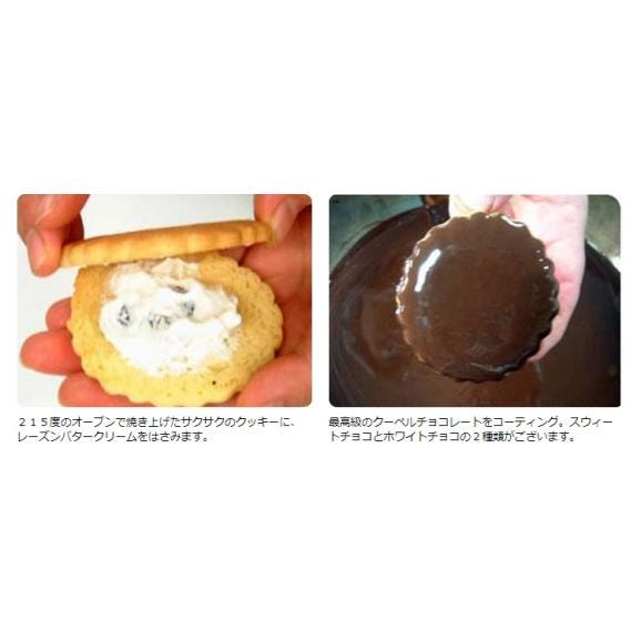 チョコサンドクッキー【6個箱入】05