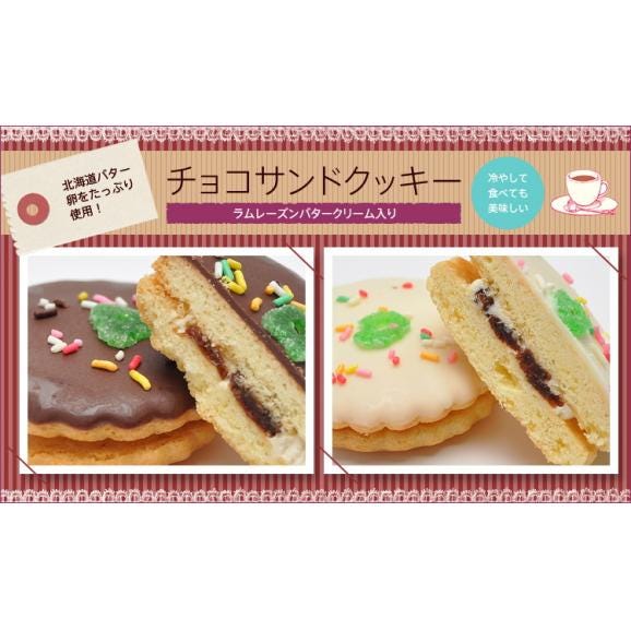 チョコサンドクッキー【10個箱入】03