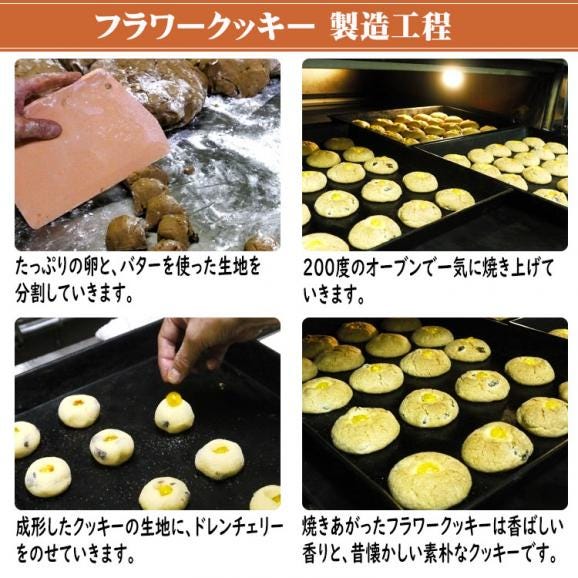 フラワークッキー【20個箱入】04