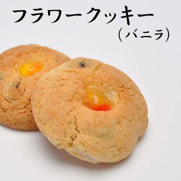 フラワークッキー【20個箱入】05