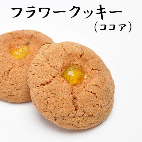 フラワークッキー【20個箱入】06