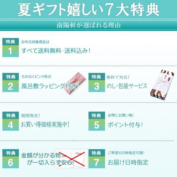 【送料無料】5種類の水まんじゅう20個入 栗きんとん/梅入り/小豆こしあん/抹茶白あん/やぶきた茶あんの水饅頭 各4個 合計20個入02