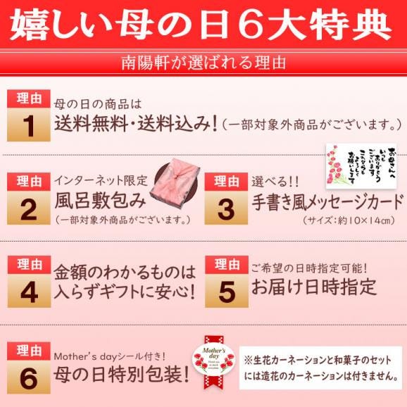 母の日【送料無料】生花カーネーション5号鉢 & 和菓子セット 岐阜中津川本物の栗きんとん3個・最高級和菓子の栗柿3個【合計6個入】プレゼント 2026 スイーツ 和菓子 お菓子 02