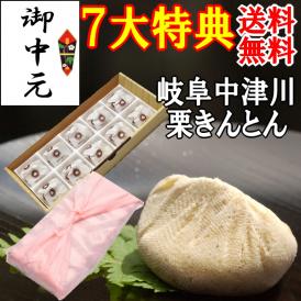 お中元ギフト！岐阜中津川本物の栗きんとん10個入【送料込み】