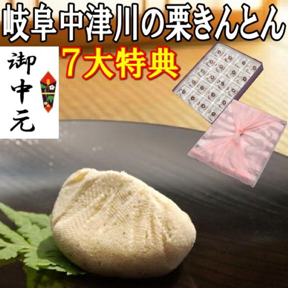 お中元ギフト【送料無料】岐阜中津川 本物の 栗きんとん20個入り01