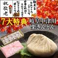 【送料無料】 敬老の日 プレゼント ギフト 和菓子 スイーツ 最旬の秋の味覚♪ 岐阜中津川本物の栗きんとん10個入★選べるメッセージカード＆風呂敷でお届け