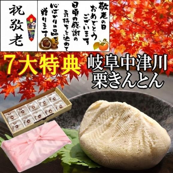 【送料無料】 敬老の日 プレゼント ギフト 和菓子 スイーツ 最旬の秋の味覚♪ 岐阜中津川本物の栗きんとん10個入★選べるメッセージカード＆風呂敷でお届け01
