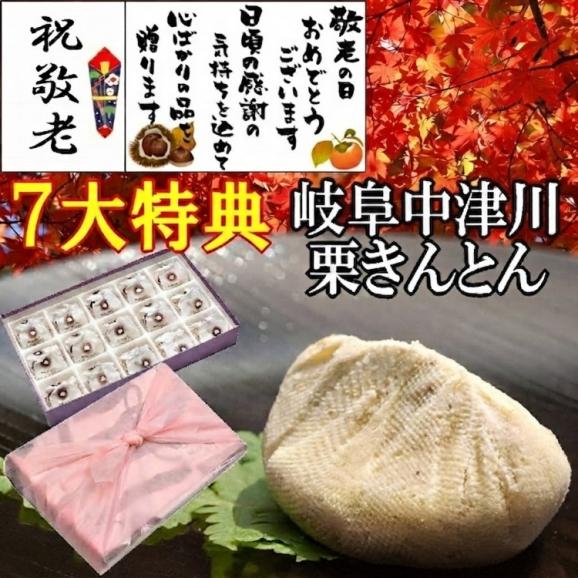 【送料無料】 敬老の日 プレゼント ギフト 和菓子 スイーツ 最旬の秋の味覚♪ 岐阜中津川本物の栗きんとん15個入 ★ 選べるメッセージカード ＆ 風呂敷でお届け01
