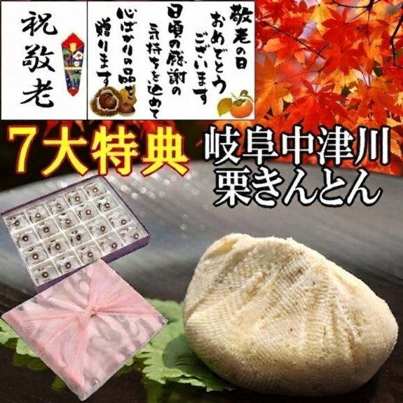 【送料無料】 敬老の日 プレゼント ギフト 和菓子 スイーツ 最旬の秋の味覚♪ 岐阜中津川本物の栗きんとん20個入 ★ 選べるメッセージカード ＆ 風呂敷でお届け01