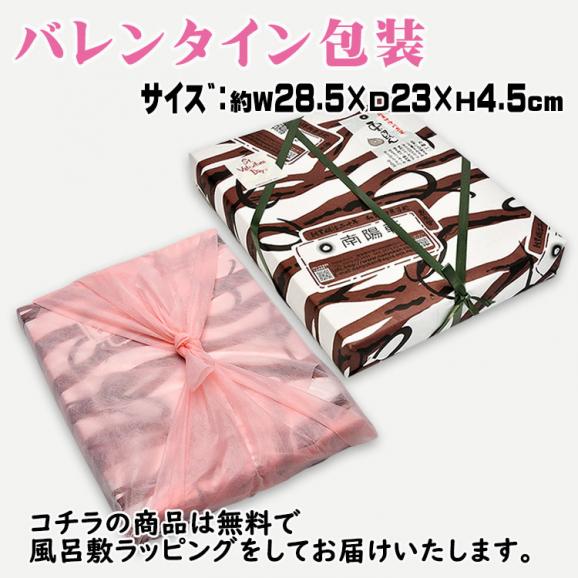 バレンタイン 【送料無料】 岐阜中津川 本物の 栗きんとん20個入り06