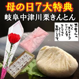 母の日【送料無料】栗きんとん10個入り プレゼント スイーツ 和菓子 花とスイーツ 以外 ギフト 造花の カーネーション ＆ 選べるメッセージーカード ＆ 風呂敷ラッピング