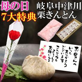 母の日【送料無料】栗きんとん10個入り プレゼント スイーツ 和菓子 花とスイーツ 以外 ギフト 造花の カーネーション ＆ 選べるメッセージーカード ＆ 風呂敷ラッピング