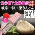 母の日【送料無料】栗きんとん10個入り プレゼント スイーツ 和菓子 花とスイーツ 以外 ギフト 造花の カーネーション & 選べるメッセージーカード & 風呂敷ラッピング