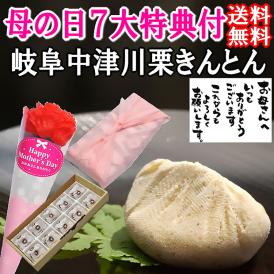 母の日【送料無料】栗きんとん10個入り プレゼント スイーツ 和菓子 花とスイーツ 以外 ギフト 造花の カーネーション ＆ 選べるメッセージーカード ＆ 風呂敷ラッピング