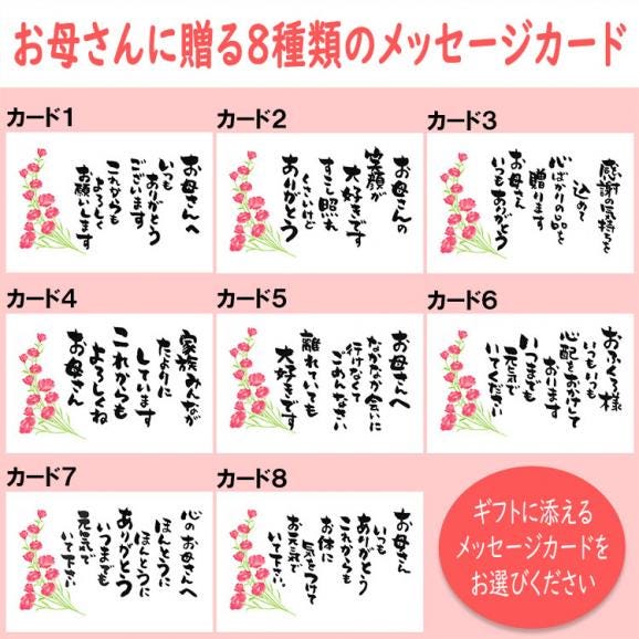 母の日【送料無料】栗きんとん10個入り プレゼント スイーツ 和菓子 花とスイーツ 以外 ギフト 造花の カーネーション & 選べるメッセージーカード & 風呂敷ラッピング03