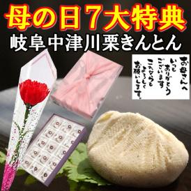 母の日【送料無料】栗きんとん15個入り プレゼント スイーツ 和菓子 花とスイーツ 以外 ギフト 造花の カーネーション ＆ 選べるメッセージーカード ＆ 風呂敷ラッピング