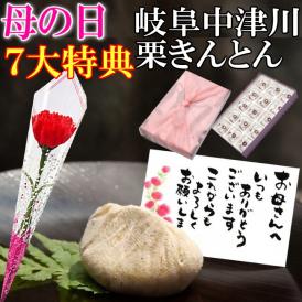 母の日【送料無料】栗きんとん15個入り プレゼント スイーツ 和菓子 花とスイーツ 以外 ギフト 造花の カーネーション ＆ 選べるメッセージーカード ＆ 風呂敷ラッピング