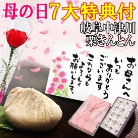 母の日【送料無料】栗きんとん15個入り プレゼント スイーツ 和菓子 花とスイーツ 以外 ギフト 造花の カーネーション ＆ 選べるメッセージーカード ＆ 風呂敷ラッピング
