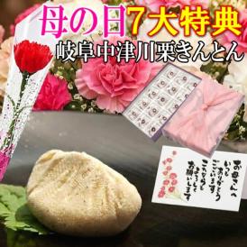 母の日【送料無料】栗きんとん15個入り プレゼント スイーツ 和菓子 花とスイーツ 以外 ギフト 造花の カーネーション ＆ 選べるメッセージーカード ＆ 風呂敷ラッピング