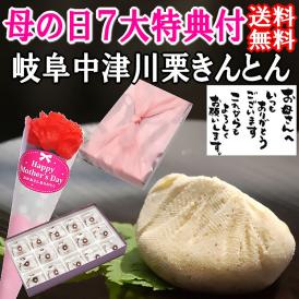 母の日【送料無料】栗きんとん15個入り プレゼント 2025 スイーツ 和菓子 花とスイーツ 以外 ギフト 造花の カーネーション ＆ 選べるメッセージーカード ＆ 風呂敷ラッピング