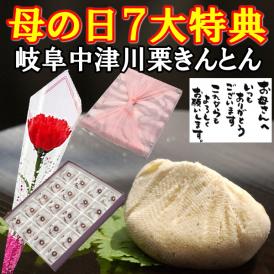 母の日【送料無料】栗きんとん20個入り プレゼント スイーツ 和菓子 花とスイーツ 以外 ギフト 造花の カーネーション ＆ 選べるメッセージーカード ＆ 風呂敷ラッピング