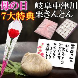 母の日【送料無料】栗きんとん20個入り プレゼント スイーツ 和菓子 花とスイーツ 以外 ギフト 造花の カーネーション ＆ 選べるメッセージーカード ＆ 風呂敷ラッピング