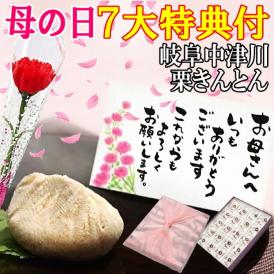 母の日【送料無料】栗きんとん20個入り プレゼント スイーツ 和菓子 花とスイーツ 以外 ギフト 造花の カーネーション ＆ 選べるメッセージーカード ＆ 風呂敷ラッピング