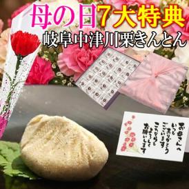 母の日【送料無料】栗きんとん20個入り プレゼント スイーツ 和菓子 花とスイーツ 以外 ギフト 造花の カーネーション ＆ 選べるメッセージーカード ＆ 風呂敷ラッピング