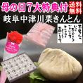 母の日【送料無料】栗きんとん20個入り プレゼント スイーツ 和菓子 花とスイーツ 以外 ギフト 造花の カーネーション ＆ 選べるメッセージーカード ＆ 風呂敷ラッピング