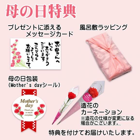 母の日【送料無料】栗きんとん20個入り プレゼント スイーツ 和菓子 花とスイーツ 以外 ギフト 造花の カーネーション ＆ 選べるメッセージーカード ＆ 風呂敷ラッピング04
