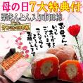 母の日【送料無料】栗柿10個入り プレゼント スイーツ 和菓子 お菓子 花とスイーツ 花 以外 ギフト 造花の カーネーション ＆ 選べるメッセージーカード ＆ 風呂敷ラッピング