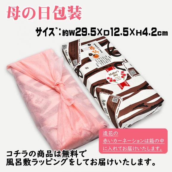 母の日【送料無料】栗柿10個入り プレゼント スイーツ 和菓子 お菓子 花とスイーツ 花 以外 ギフト 造花の カーネーション ＆ 選べるメッセージーカード ＆ 風呂敷ラッピング06