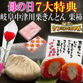 母の日【送料無料】栗きんとん7個・栗柿8個入り プレゼント 和菓子 花とスイーツ 以外 ギフト 造花のカーネーション ＆ 選べるメッセージーカード ＆ 風呂敷ラッピング
