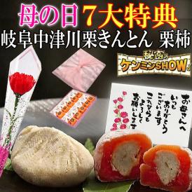 母の日【送料無料】栗きんとん10個・栗柿10個入り プレゼント 和菓子 花とスイーツ 以外 ギフト 造花のカーネーション ＆ 選べるメッセージーカード ＆ 風呂敷ラッピング
