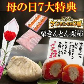 母の日【送料無料】栗きんとん10個・栗柿10個入り プレゼント 和菓子 花とスイーツ 以外 ギフト 造花のカーネーション ＆ 選べるメッセージーカード ＆ 風呂敷ラッピング