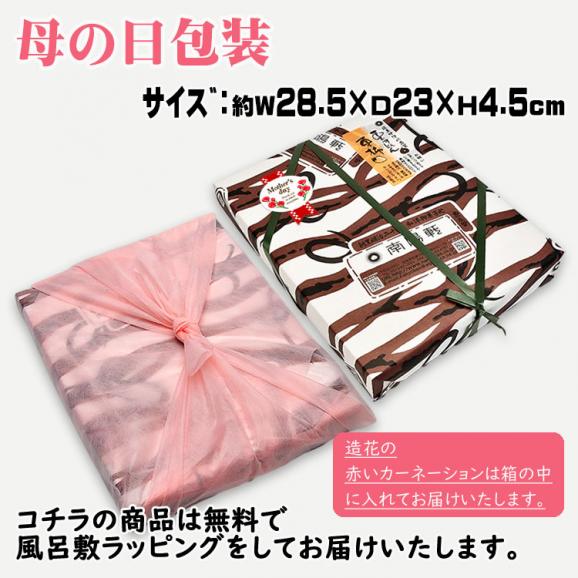 母の日【送料無料】栗きんとん10個・栗柿10個入り プレゼント 和菓子 花とスイーツ 以外 ギフト 造花のカーネーション & 選べるメッセージーカード & 風呂敷ラッピング06