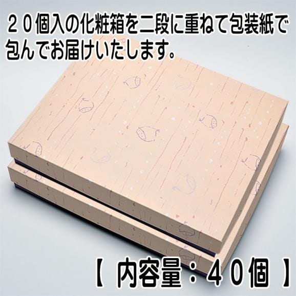 【送料無料】 岐阜中津川 本物の 栗きんとん 40個入05