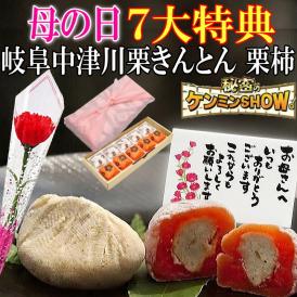 母の日【送料無料】栗きんとん5個・栗柿5個入り プレゼント 和菓子 花とスイーツ 以外 ギフト 造花のカーネーション ＆ 選べるメッセージーカード ＆ 風呂敷ラッピング