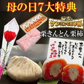 母の日【送料無料】栗きんとん5個・栗柿5個入り プレゼント 和菓子 花とスイーツ 以外 ギフト 造花のカーネーション ＆ 選べるメッセージーカード ＆ 風呂敷ラッピング